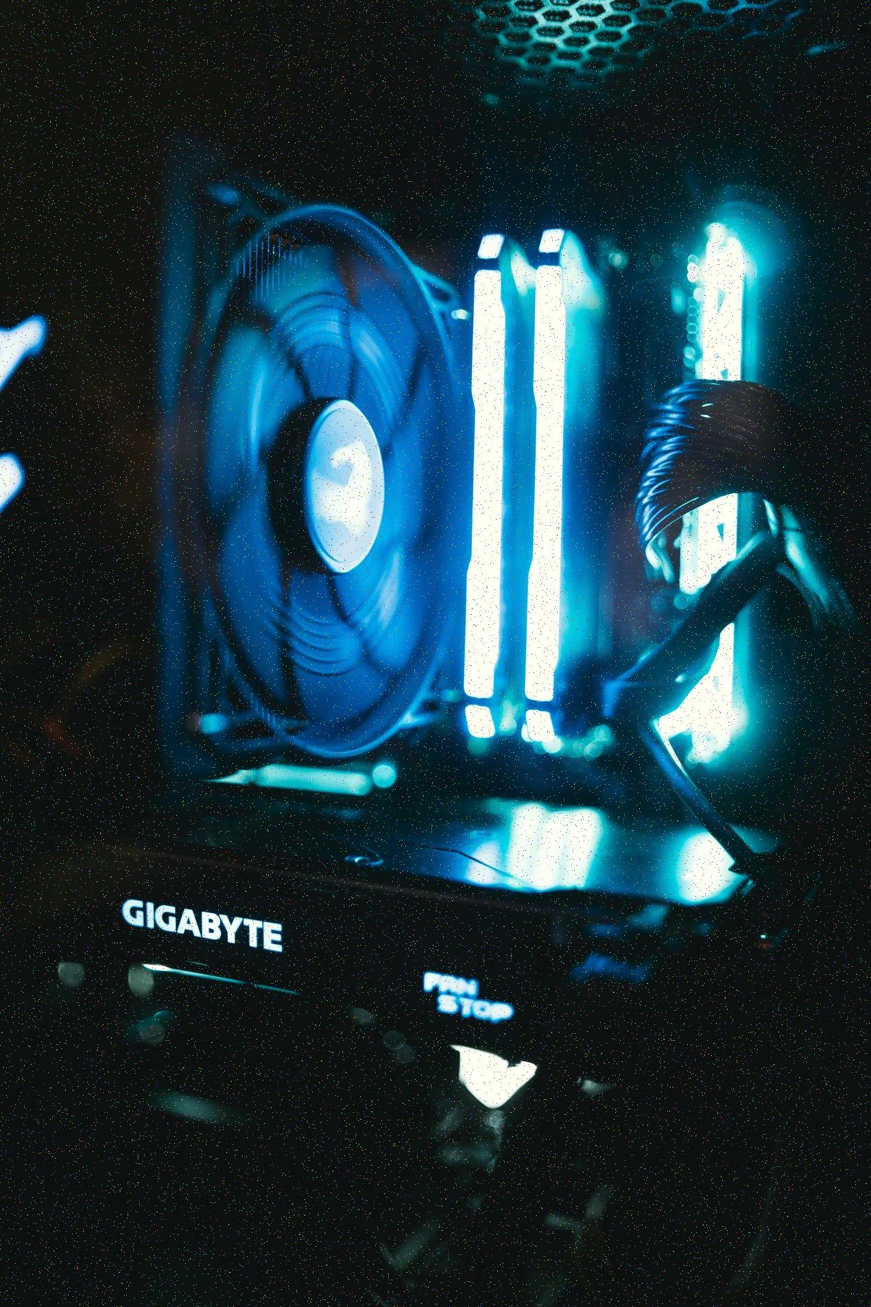 Galería 1